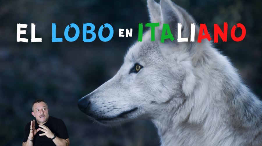 In bocca al lupo en italiano