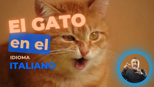 El GATO en ITALIANO